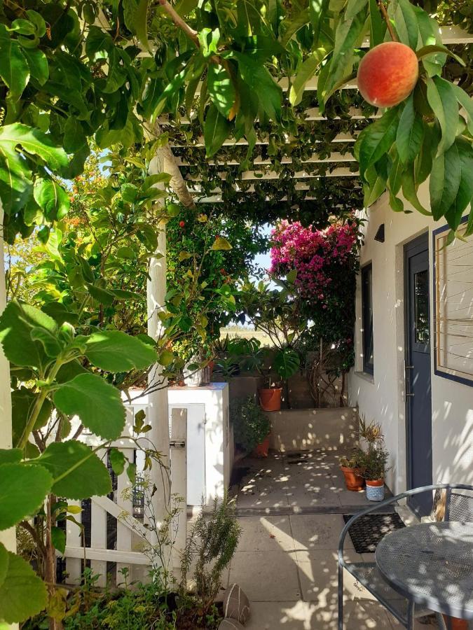 Zenergy - Guest House Odeceixe Dış mekan fotoğraf